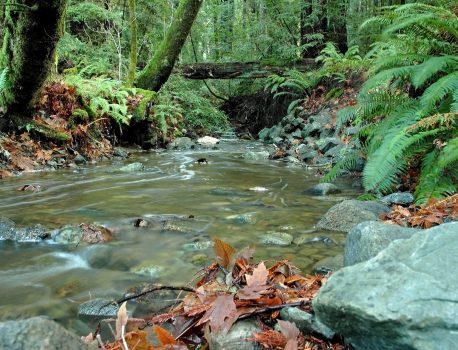 Creek Restoration and Permitting