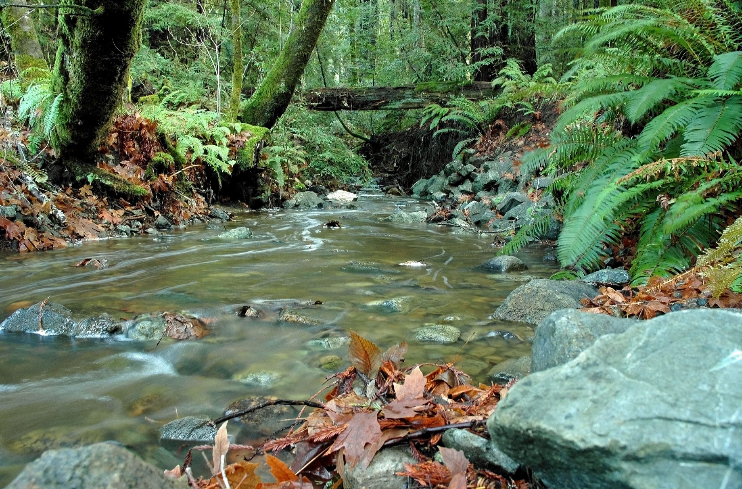 Creek Restoration and Permitting