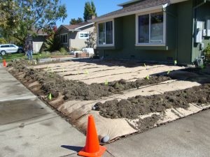 sheet mulching over grass