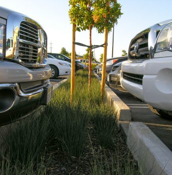 parking lot bioretention strip