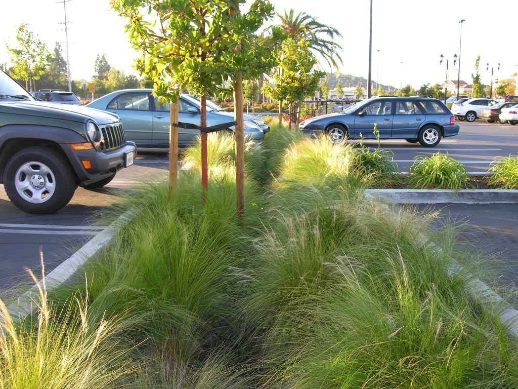 parking strip bioretention