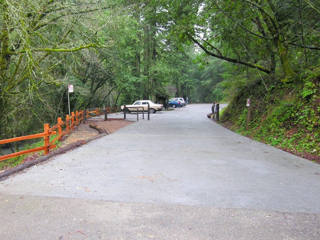 Leo T Cronin fish viewing area