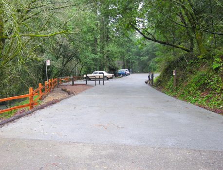 Leo T Cronin Fish Viewing Area