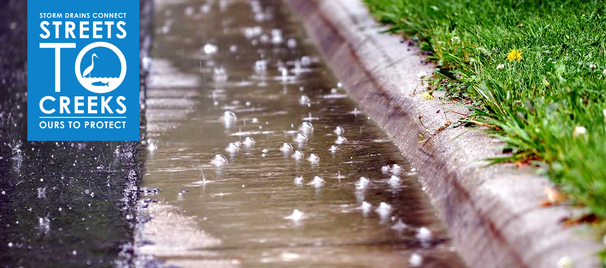 Streets to Creeks Rain in Gutter image